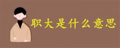 職大是什么意思
