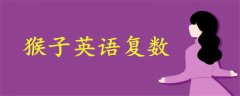 猴子英語復(fù)數(shù)
