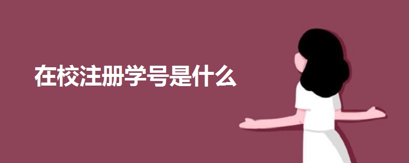 在校注冊學(xué)號是什么
