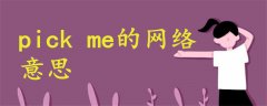 pick me網(wǎng)絡(luò)什么意思