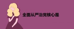 全面從嚴(yán)治黨核心是