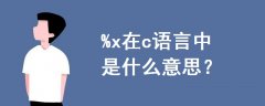 %x在c語(yǔ)言中是什么意思
