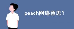 peach網(wǎng)絡(luò)意思