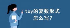 toy的復(fù)數(shù)形式怎么寫