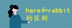 hare和rabbit的區(qū)別
