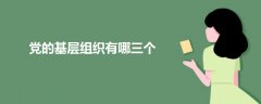 黨的基層組織有哪三個(gè)