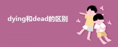 dying和dead的區(qū)別