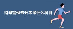 財務(wù)管理專升本考什么科目