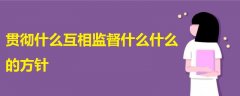 貫徹什么互相監(jiān)督什么什么的方針