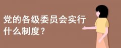 黨的各級(jí)委員會(huì)實(shí)行什么制度