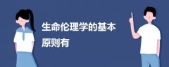 生命倫理學(xué)的基本原則有