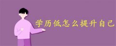 學(xué)歷低怎么提升自己