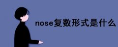nose復(fù)數(shù)形式是什么