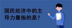 國民經(jīng)濟(jì)中的主導(dǎo)力量指的是()。