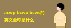 acwp bcwp bcws的英文全稱是什么