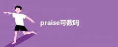 praise可數(shù)嗎