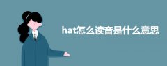 hat怎么讀音是什么意思