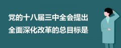 黨的十八屆三中全會(huì)提出全面深化改革的總目標(biāo)是