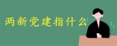 兩新黨建指什么
