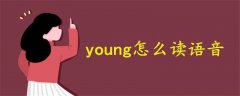 young怎么讀語音