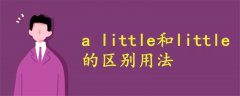 a little和little的區(qū)別用法