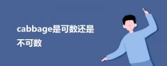 cabbage是可數(shù)還是不可數(shù)