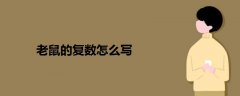 老鼠的復數怎么寫