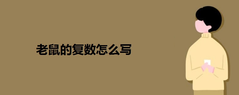 老鼠的復(fù)數(shù)怎么寫