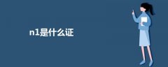 n1是什么證