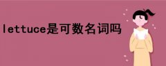lettuce是可數名詞嗎
