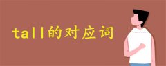 tall的對應詞