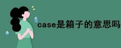 case是箱子的意思嗎