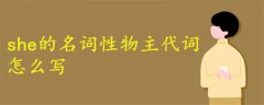 she名詞性物主代詞怎么寫