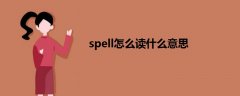 spell怎么讀什么意思