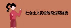 社會主義初級階段分配制度