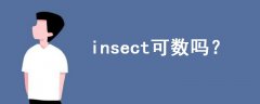 insect可數(shù)嗎