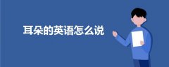 耳朵的英語(yǔ)怎么說(shuō)