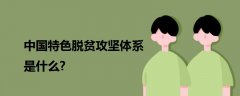 中國(guó)特色脫貧攻堅(jiān)體系是什么?
