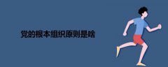 黨的根本組織原則是啥