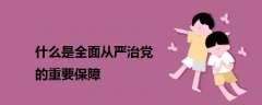 什么是全面從嚴治黨的重要保障