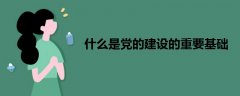 什么是黨的建設(shè)的重要基礎(chǔ)