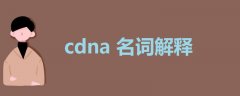 cdna名詞解釋
