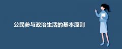 公民參與政治生活的基本原則
