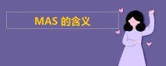 MAS的含義