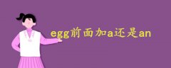 egg前面加a還是an