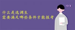 什么是選調生?需要滿足哪些條件才能報考