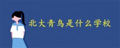北大青鳥是什么學(xué)校