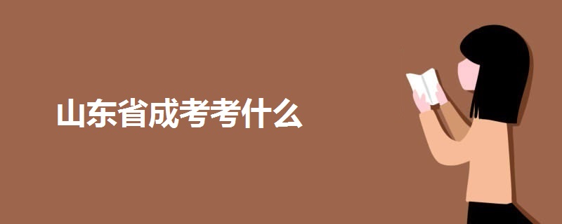 山東省成考考什么