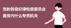 黨的各級(jí)紀(jì)律檢查委員會(huì)是黨內(nèi)什么專責(zé)機(jī)關(guān)