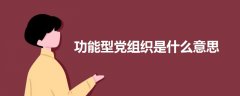 功能型黨組織是什么意思